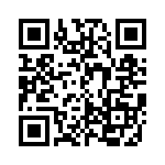 ACM28DSEI-S13 QRCode