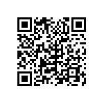 B32522Q1335K189 QRCode