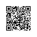 B32522Q1335K289 QRCode