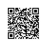 B32524R6225M000 QRCode