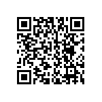 B32524R6475K189 QRCode