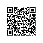 B32529C6152K289 QRCode