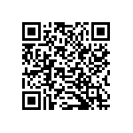 B32529C6333K289 QRCode