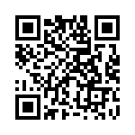 B32529C6473K QRCode