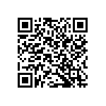 B32560J3104K289 QRCode