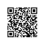 B32621A4333J289 QRCode