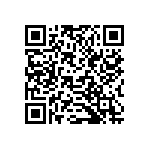 B32621A4333K289 QRCode