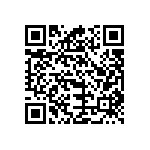 B32673Z6334K289 QRCode