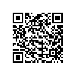 B32912A3333M000 QRCode