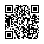 B3F QRCode