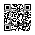 B41041A3338M QRCode