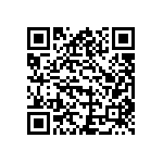 B41689K5178Q001 QRCode