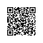 B43821B2106M000 QRCode