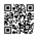 B57411V2101K62 QRCode