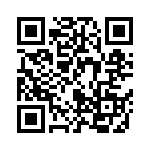 B57411V2331K62 QRCode