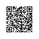 B57421V2102K062 QRCode