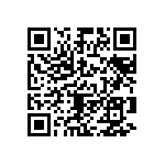 B57451V5333J062 QRCode