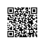 B64290L0651X065 QRCode