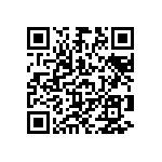 B65651T0160A048 QRCode