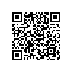 B65807J0250A041 QRCode