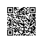 B65811F0250A041 QRCode