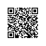 B65813J0063A087 QRCode