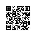 B65839A0250E087 QRCode