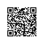 B66307G0060X127 QRCode