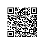 B72225T4171K101 QRCode