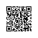 BCS-113-L-D-PE-013 QRCode