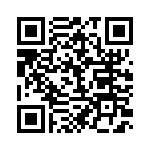 BFC233621333 QRCode