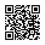 BFC233841333 QRCode