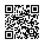 BFC233845333 QRCode