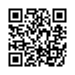 BFC233848004 QRCode