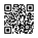 BFC233913105 QRCode