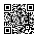 BFC233990013 QRCode