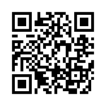 BFC236856333 QRCode