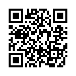 BFC238041393 QRCode