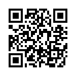 BFC238061202 QRCode