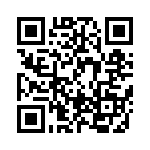 BFC238651394 QRCode