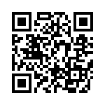 BFC241813904 QRCode