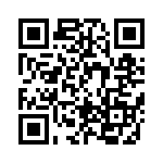 BFC241831303 QRCode