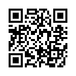 BFC247945304 QRCode