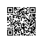 BKT-121-02-F-V-P-TR QRCode