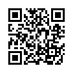 BKT-131-02-L-V QRCode