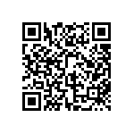 BKT-133-01-F-V-S-A-P QRCode