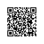 BKT-141-01-F-V-A-P QRCode