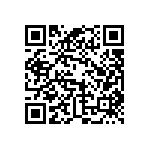 BKT-141-04-LM-V QRCode