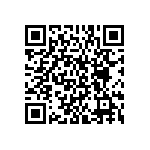 BKT-149-01-L-V-A-P QRCode