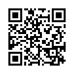 BKT-151-04-L-V QRCode